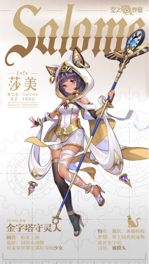 空之要塞：启航莎美背景故事介绍